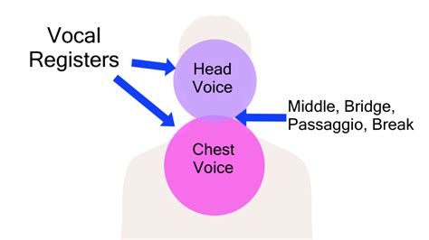 what is tenor in music? how does it relate to the concept of tone and voice?